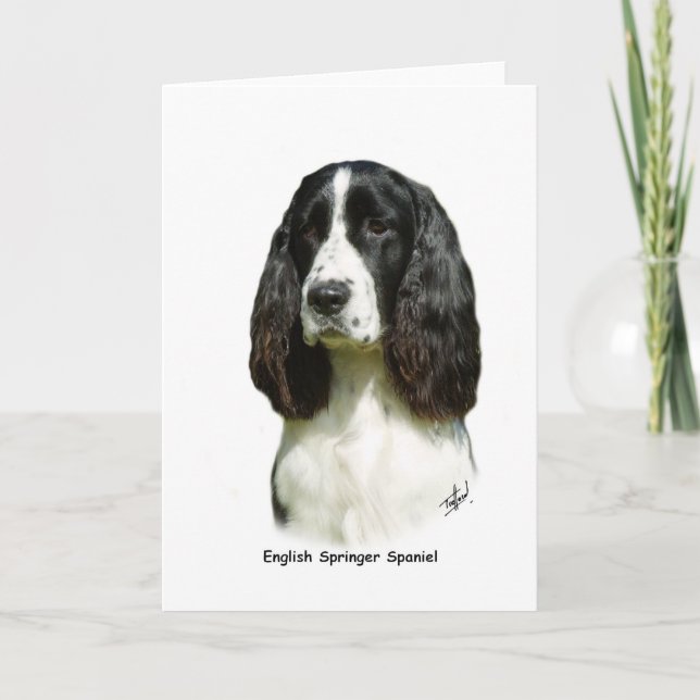 Carte Espagnol Springer anglais 9J37D-20 (Devant)