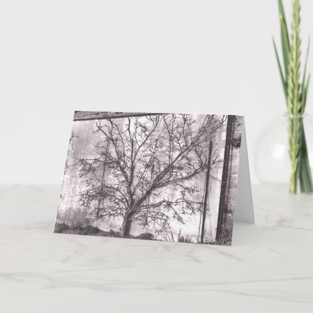 Carte Espalier (Devant)