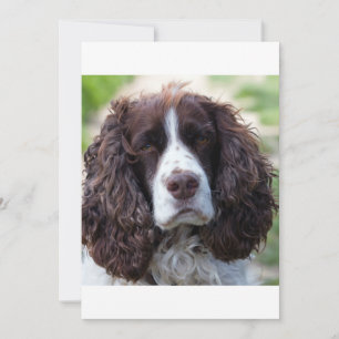 Carte ESS foie blanc seconde