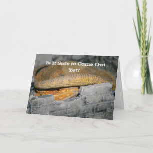 Carte Est-ce encore sûr ? Dragon à poils