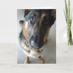 Carte Est-ce que je sens le gâteau ?  voeux d'anniversai