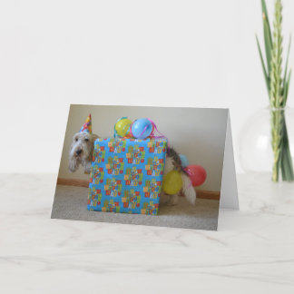 Carte Est-ce que quelqu'un a commandé un cadeau