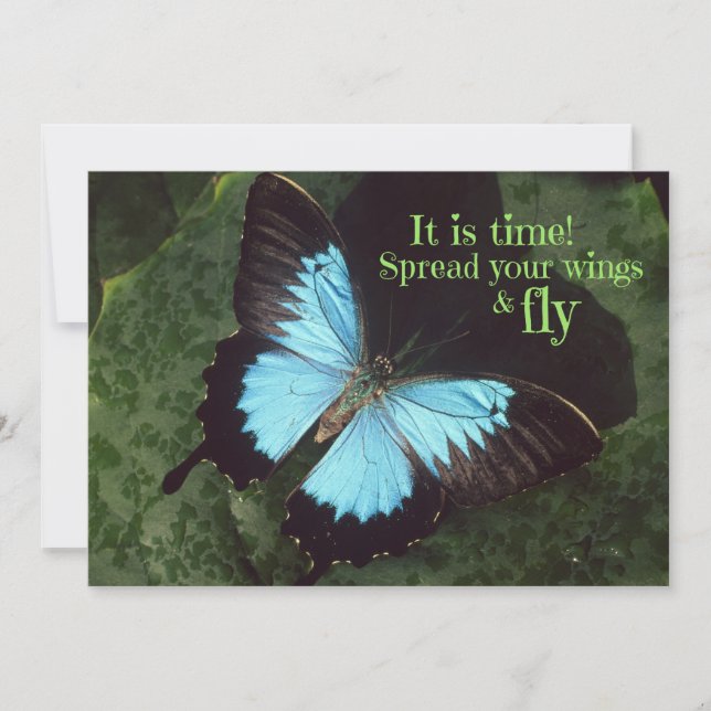 Carte Étalez vos ailes et votre papillon (Devant)