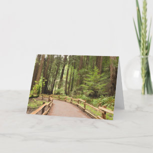 Carte États-Unis, Californie, comté de Marin, Muir Woods