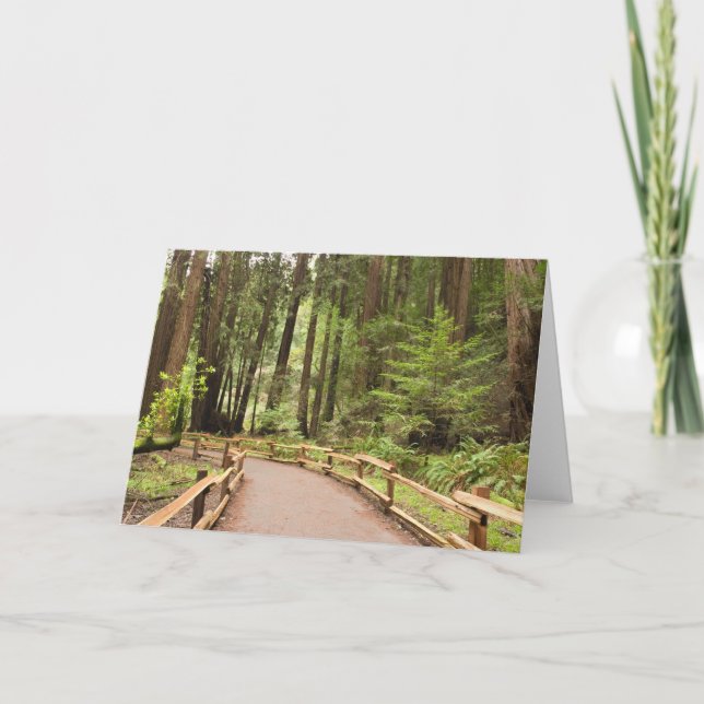 Carte États-Unis, Californie, comté de Marin, Muir Woods (Devant)