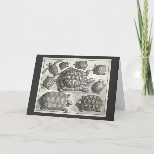 Carte Etching de tortue vintage (Devant)