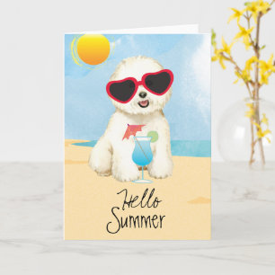 Carte Été Bichon Frise