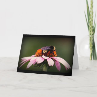 Carte "Été dans le Texas ! "