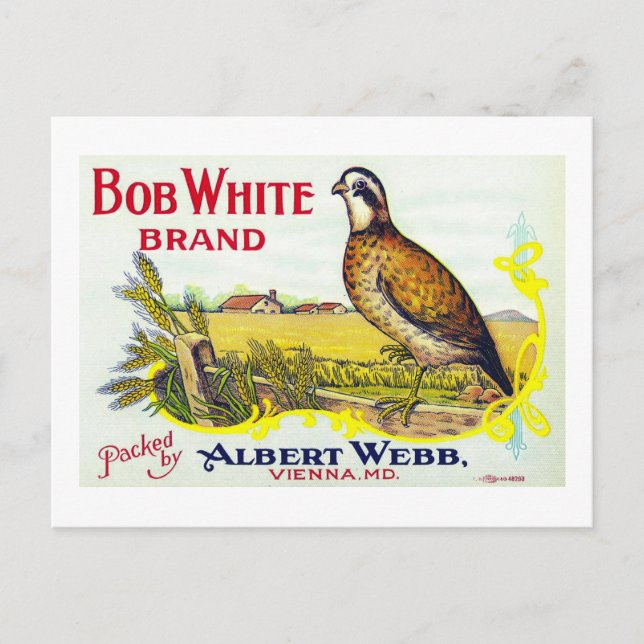 Carte "Étiquette de cantine de marque Citrouille B (Devant)
