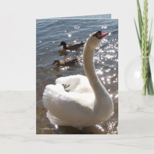 Carte Étoile brillante