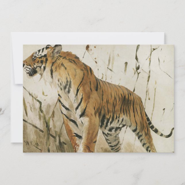 Carte Étude d'un tigre | Wilhelm Kuhnert (Devant)