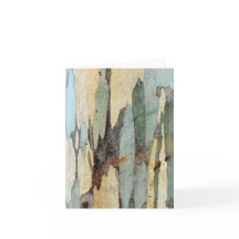 Eucalyptus Tree Bark