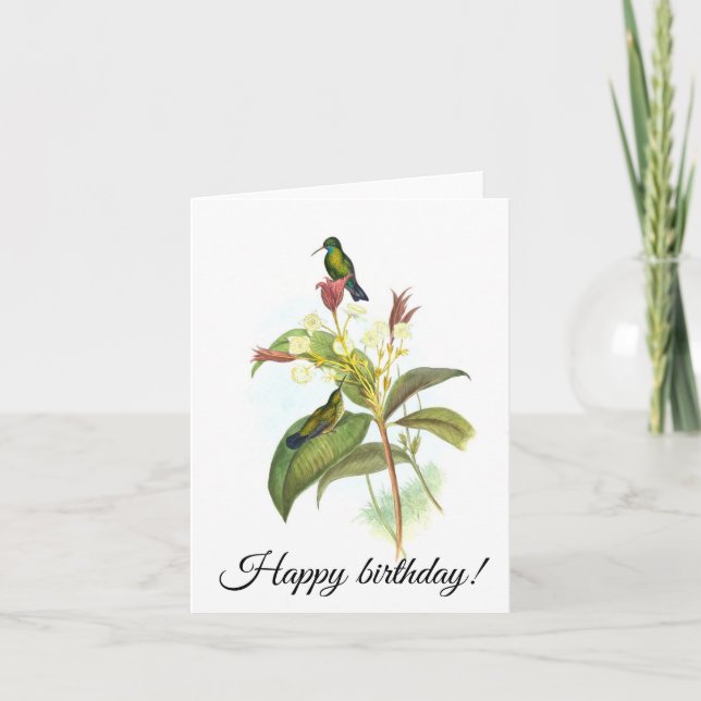 Carte Eucephala caerulea (saphir à poils bleus) (Devant)