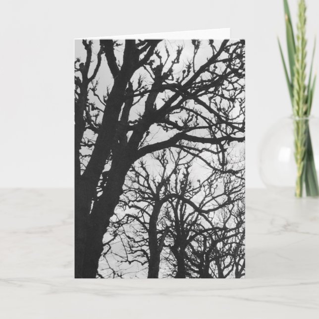 Carte Europe, France, Paris. Les arbres d'hiver, Marco (Devant)