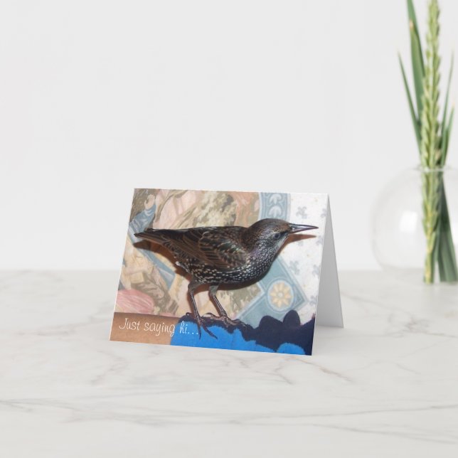 Carte European Starling, Mortimer, Note Card (Devant)