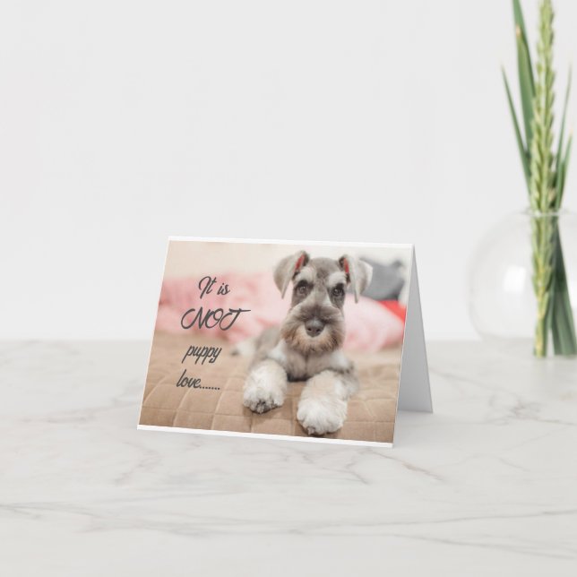 CARTE EVERLASTING-NOT PUPPING LOVE POUR VOUS ! ! ! ! (Devant)