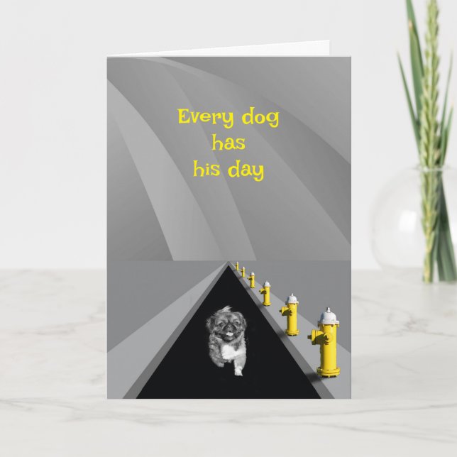 Carte Every dog has his day - humorous Father's Day (Devant)