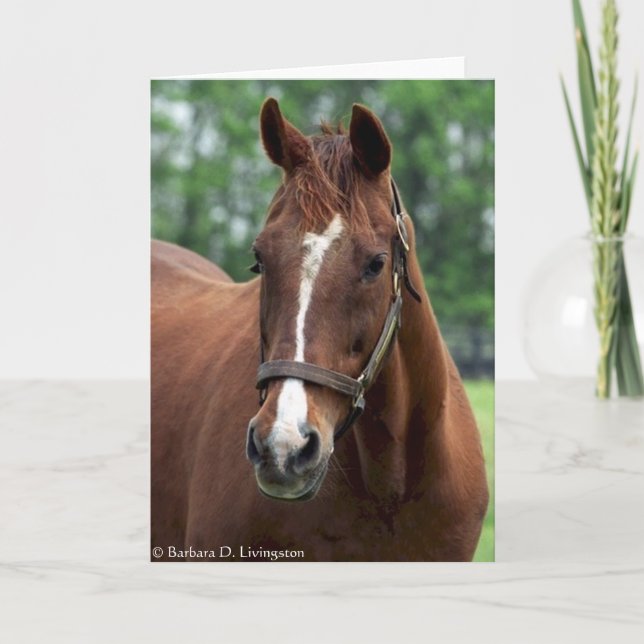 Carte Exactement si Portrait (Devant)