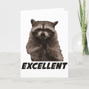Carte Excellent Raccoon de lot de mal