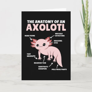 Carte Explication Axolotl Anatomie D'Un Axolotl