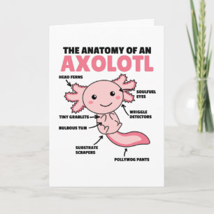 Carte Explication Axolotl Anatomie D'Un Axolotl