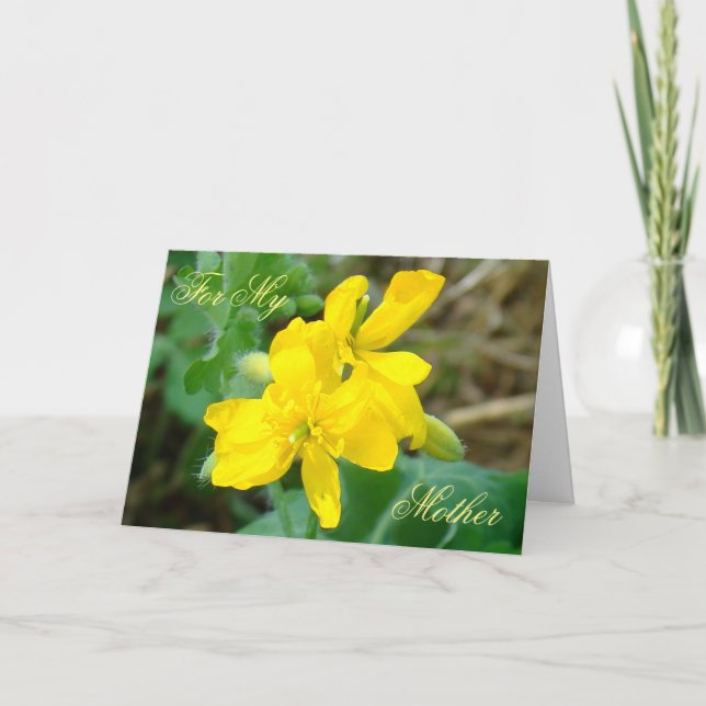 Carte F44 Mustard sauvage Fleur sauvage jaune (Devant)