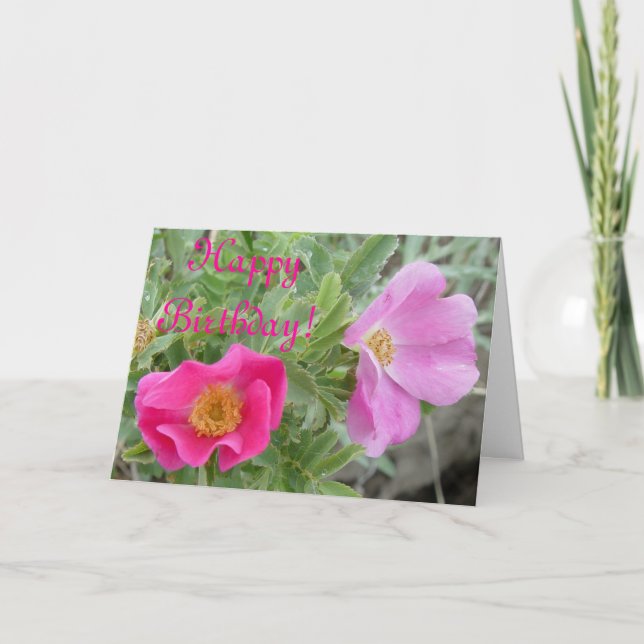 Carte F4 Roses sauvages (Devant)