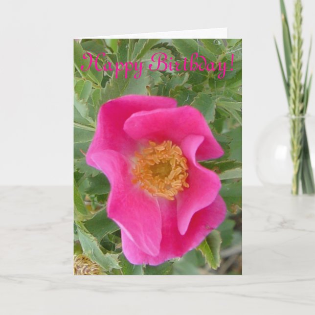 Carte F4a Wild Rose (Devant)