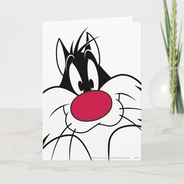 Carte Face de nez rouge SYLVESTER™ (Devant)