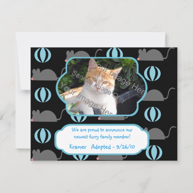 Carte Faire-part photo d'adoption de chat de souri (Devant)