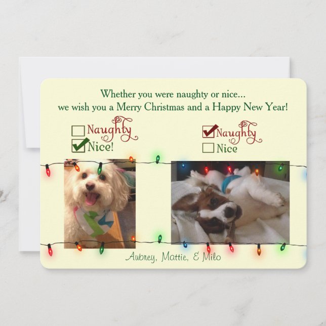 Carte faite sur commande de chien de Noël (Devant)