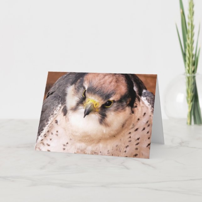 CARTE FALCON (Devant)