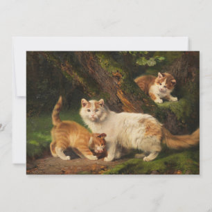 Carte Famille de chat Jouer   Julius Adam le Jeune