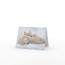 Famille de l'Arctique