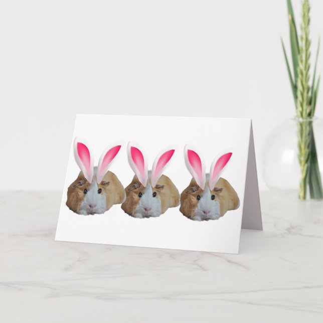 Carte Famille de porc de Guinée mignonne Lapin rose Orei (Devant)