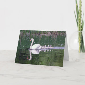 Carte Famille De Swans