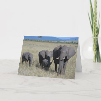 Carte Famille des éléphants