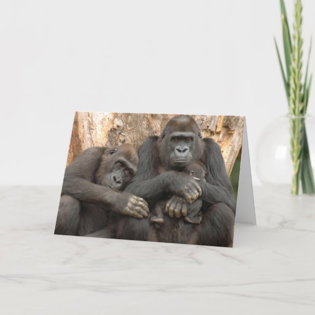 Carte Famille Gorilla (Devant)