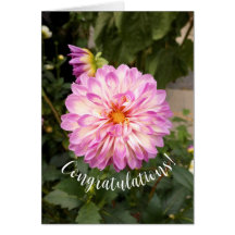 Carte Fancy Purple and White Dahlia Félicitations