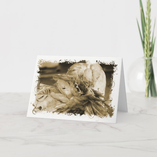 Carte Fantail Pigeon (Devant)
