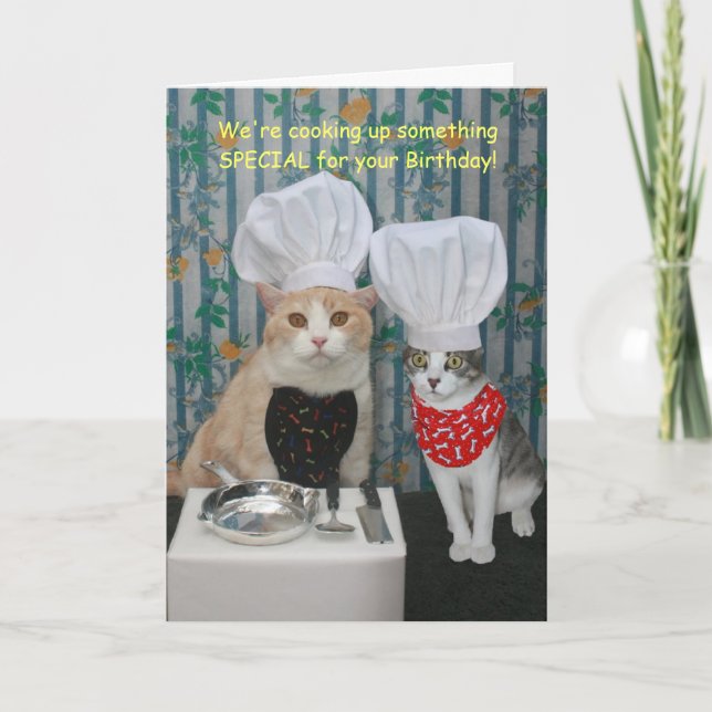 Carte Fantastique Chef Chats Anniversaire (Devant)
