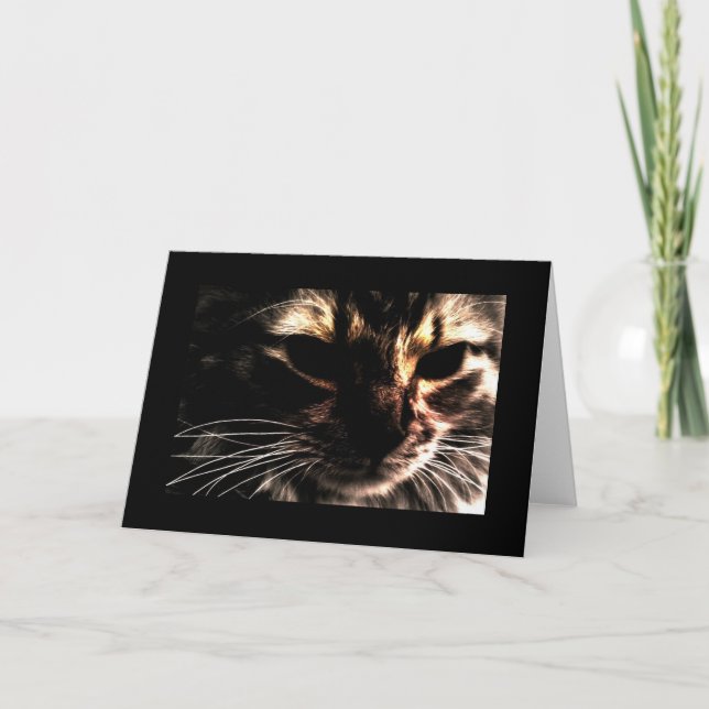 Carte Fantôme Cat With Border (Devant)
