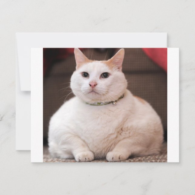 Carte Fat (Devant)