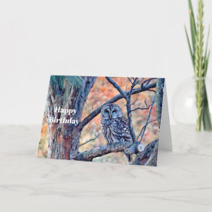 Carte Faune Brown Hibou Arbre de Chouette Anniversaire