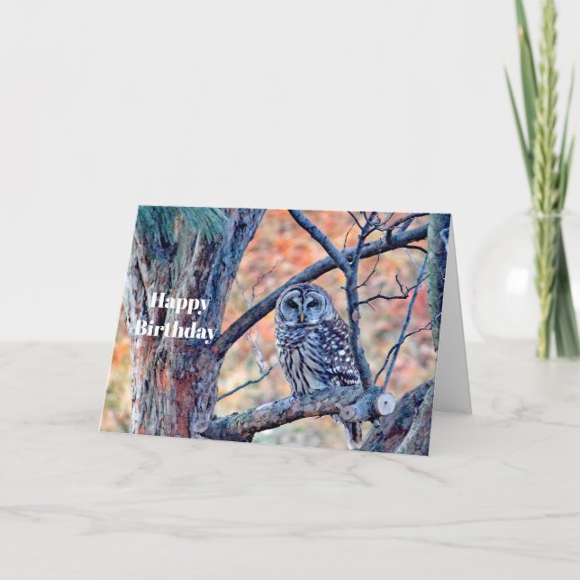 Carte Faune Brown Hibou Arbre de Chouette Anniversaire (Devant)