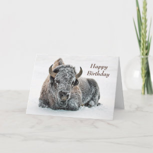 Carte Faune Buffalo Photo Neige Anniversaire
