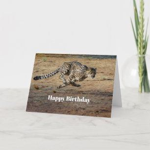 Carte Faune Cheetah Runtime Photo Anniversaire