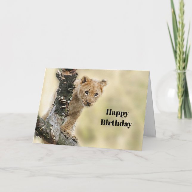 Carte Faune Lion Cub Photo Anniversaire (Devant)
