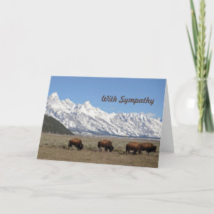 Carte Faune Monts Bison Neige Photo Sympathie