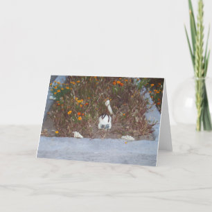 Carte Faux Squelette à Marigolds Photo de décoration